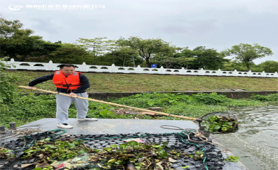 最“绿水”h——刘沭含