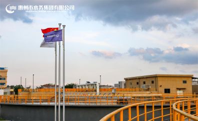 旗帜猎猎Q指引方向——朱玉婷